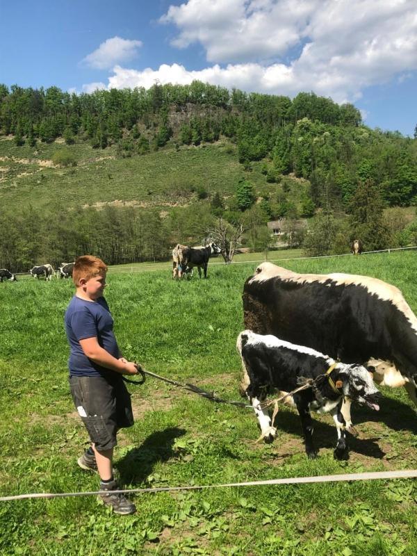 Nos 2 Gites A La Fermy'Air Mollau Kültér fotó